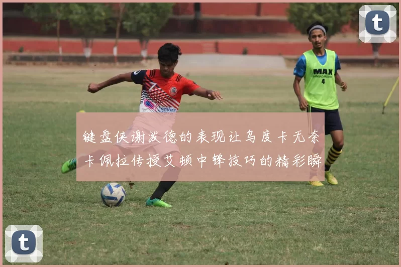 键盘侠谢泼德的表现让乌度卡无奈卡佩拉传授艾顿中锋技巧的精彩瞬间