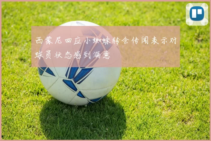 西蒙尼回应小蜘蛛转会传闻表示对球员状态感到满意